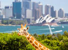 News Bulletin: TBWA Sydney retains Taronga Zoo; Influencer dies after YouTube stunt