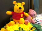 Archibald Williams wins Cancer Council account 