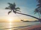 Ipsos iris: Queensland-based news sites beneficiary of December traffic