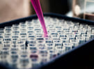 OpenAI working on ways to detect content made by AI