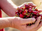 Intermedia Group to publish The Farmer magazine