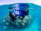 Mindshare and Avid Collective unveil latest work for Citizens of the Reef