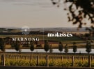 Molasses wins Marnong Estate pitch