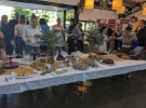 PHOTOS - Agencies put on Australia's Biggest Morning Tea