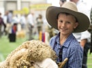 Orchard wins Royal Agricultural Society digital pitch