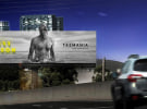 Tourism Tasmania and Starcom bring ‘Off Season’ campaign to life