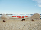 The General Store unveils pet retailer Swaggle on Rose Bay Beach