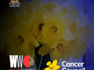 Publicis Groupe Australia partners with Cancer Council