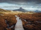 Starcom awarded Tourism Tasmania media account