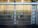 Media industry executives jailed