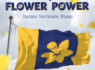 Refreshed Daffodil Day campaign draws record donations