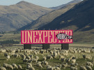 DDB Worldwide reveals new brand positioning 'Unexpected Works'
