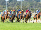Racing Victoria and Foxtel saddle up