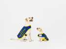Pitch Wrap: Kraft Heinz, Vision Australia, Westpac Group