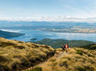 Behind the battle for the New Zealand media market