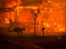 Walkley Award winners 2020