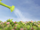 Gartner: CMOs switch to conservative growth strategies