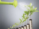 MFA Census: Australian media agency jobs increased by 5.6% in 2019