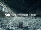 BADC Awards is celebrating 50 years