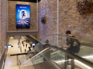 Webull Australia launches sport-framed OOH campaign via oOh!media's POLY