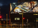 WWF NZ campaign reminds us that lockdown lasts a lifetime for some