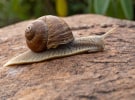 ANALYSIS: 'Grim, ugly and sluggish' ad spend 