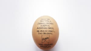 No Cages
