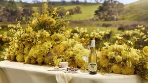 Vinarchy Petaluma ‘Delight is knowing’ via HSLR 