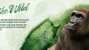 For The Wild