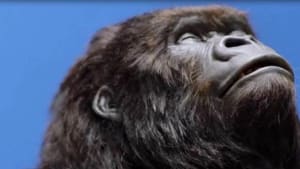 Aldi recreates classic Cadbury gorilla ad for Easter