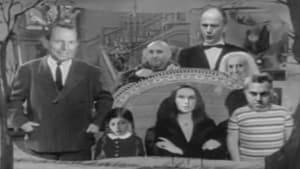 The Abbott Family