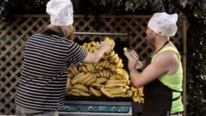 Summer Of Bananas