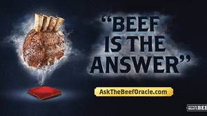The Beef Oracle 