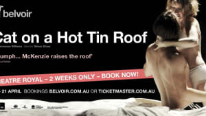 Cat On A Hot Tin Roof