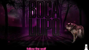 Follow the wolf