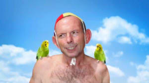 Budgie smugglers
