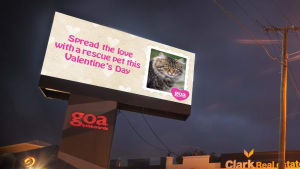 Goa outdoor launches Valentine's Day pet campaign