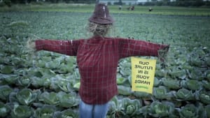 Save the bees, save the humans 