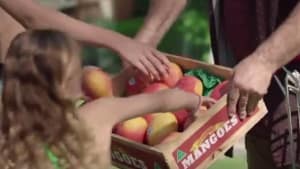 Monkeys push IGA independence in summer ad 