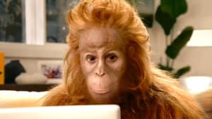 Charles the orangutan