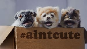 Leo Burnett lifts the lid on pet shop puppies 