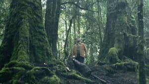Momentum wants you to know its energy comes from a different place 