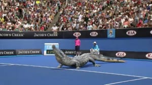 Australian Open