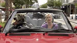 Pet Car Insurance
