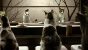 Cats Love Choice 
