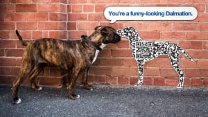 Find a dog a home with your phone