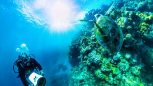 Qantas unlocks Great Barrier Reef virtual reality experience