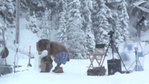 The Bear