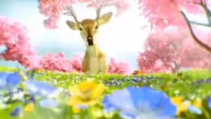 Spring fever