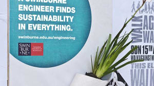 Sustainability